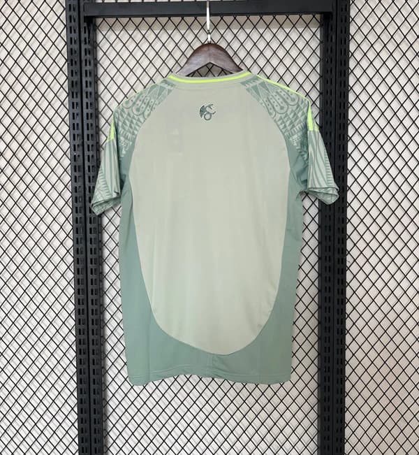 Mexique Maillot Foot Vert 2024 2025